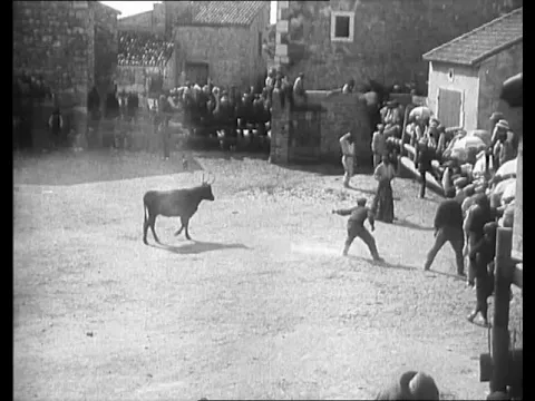 Une course à la Cocarde (1912) [Course de taureaux provençale] Gaumont