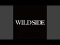 Download Lagu Wild Side