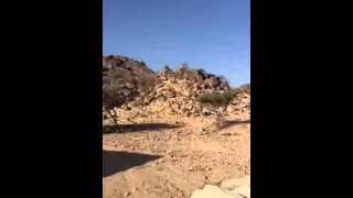 يادار مريتك وانا مبطي عنك 