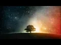 The Late William Orbit  RIP - Adagio For Strings (Ferry Corsten Mix)