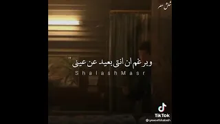 حبيتك حب ملهوش تفسير مهرجانات  حبيتك حب ملهوش تفسير مهرجانات
