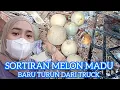 SORTIRAN MELON MADU BARU TURUN DARI TRUCK, MANIS NYA POOOLL 🫠🫠🤤🤤