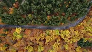 سورة النمل ختمة عام 1437 القارئ عصام حمود 