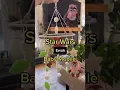 How to make a Star Wars Ewok Baby Mobile