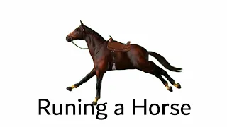 صوت حصان للمونتاج 