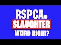Download Lagu RSPCA Slaughter, Weird Right?