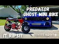 Predator Ghost Mini Bike Build The Ultimate Pit Bike Race Engine