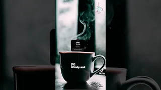 حالات واتس بشوفك معايا ولو مش معايا على اللألفى Ali Elalfy 