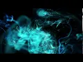Trapcode Form Fluid Loop
