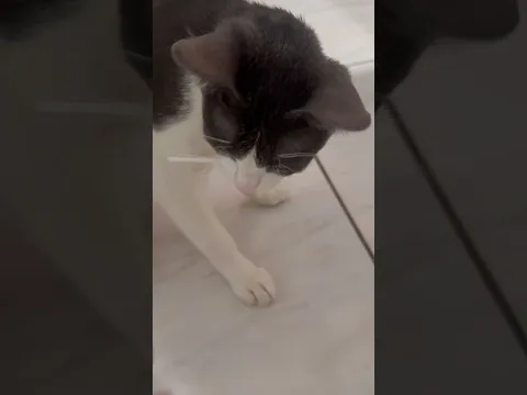 Ele vai comer tudo kkkkkk