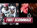 Gamecock Football This was a DIFFERENT first scrimmage