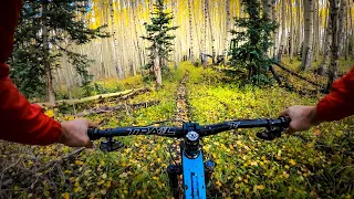 ALTITUDE SICKNESS Three SUPERB shuttle runs in Durango