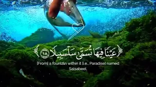 عينا فيها تسمى سلسبيلا التلاوة الشهيره لشيخ محمد اللحيدان سورة الإنسان 