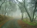 Black Messiah-My Way To Asgaard