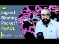 PyMOL ligand-protein interactions PyMOL tutorial Protein Data Bank Basic Science Series