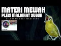 🔴 LIVE Masteran Pleci Mewah Malaikat Subuh Syahid DBI solo