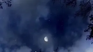 أيها الموجوع صبرا 