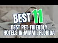 Miami s Ultimate Pet-Friendly Paradise Top 11 Hotels You MUST Visit with Your Pet