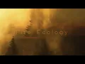 Ross Lara - Fire Ecology