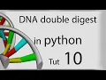 DNA Double Digestion in Python Tut 10