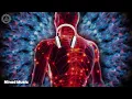 Relax Contracted Muscle Fibers, Release Muscle Tension | Alleviate Pain, Discomfort & Injury -174 Hz