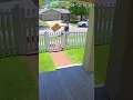 Canada Post s Over-the-Fence Delivery