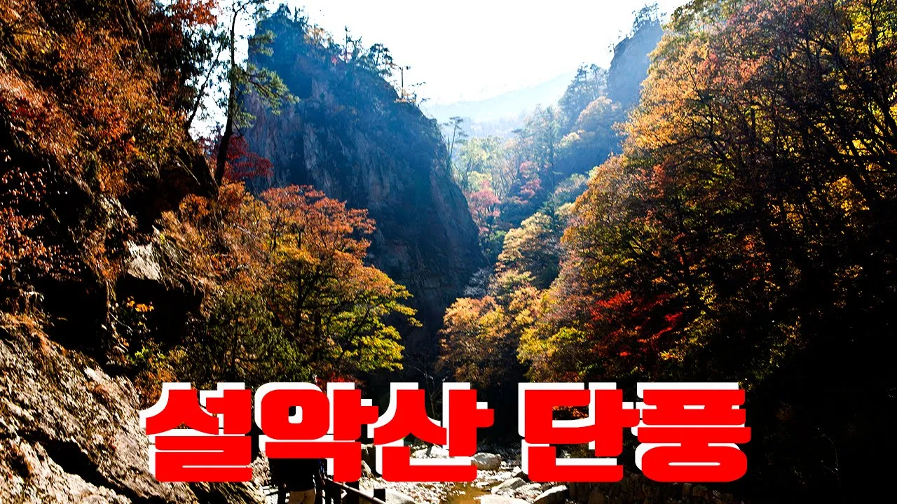 설악산  주전골단풍 サムネイル