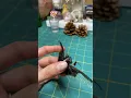 Preserving a dead Cicada