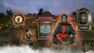  lagu putra petir indonesia margaluyu 151 lagu u0026 lirik 