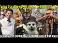Download Lagu KOLEKSI HEWAN SULTAN TERGILA PART II NEKAT SULAP SATU RUMAH JADI KANDANG HEWAN ANEH | DHARMA WIJAYA