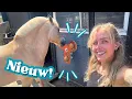 Download Lagu Hier worden alle paarden érg slim van! 🧠🐴