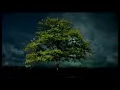William Orbit - Barber's Adagio For Strings (Ferry Corsten Remix) (HD)