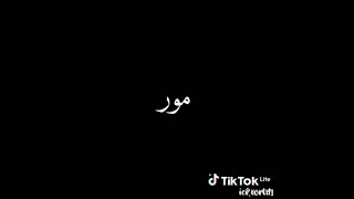 امي امي بلغولها سلامي زينها اتسنامي ونتا فبوطي ترامي 