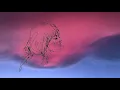 Patch Quiwa - her (Visualizer Lyric Video)