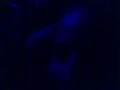 Powderfinger - These Days (LIVE)