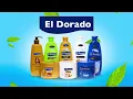 Download Lagu TV Zimbo Ao Vivo