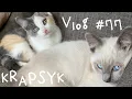 SUMMER2020 Baked Goods Bright Swimwear KRAPSYK Vlog