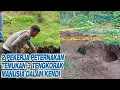 Lagu 2 Pekerja Peternakan Temukan 3 Tengkorak Manusia di Kepahiang saat Gali Tanah
