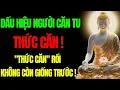 Lagu Dấu Hiệu Người Căn Tu Đang Thức Căn – Không Phải Ai Cũng Dám Nhìn Thẳng | Tu Tâm Tĩnh Lặng