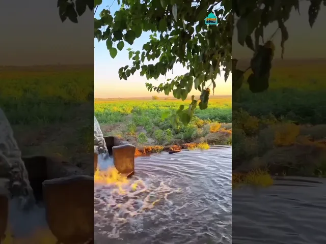 ⁣دقيقة قرآنية | القارئ السيد سعيد