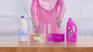 فانيش مزيل البقع دندنها