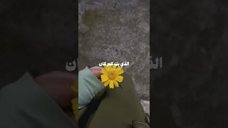 أأ هديك زهرا وأنت العبير 