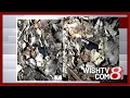 New photos from Delphi Murders crime scene