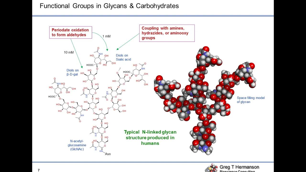 Addressing the Challenges of Bioconjugation for Improved Crosslinking and Modification