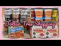 Supercharged Dollar Tree Shopping in Zebulon NC