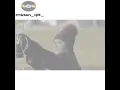 تعال اتنفسك اغاني من خالد الحنين