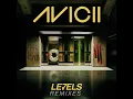 Levels (Skrillex Remix) - Avicii