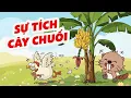 HẢI LY KỂ CHUYỆN | TẬP 6: SỰ TÍCH CÂY CHUỐI | TĂNG PHÚC 