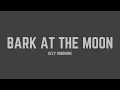 Download Lagu Ozzy Osbourne - Bark at the Moon (Lyrics)
