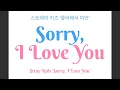 Download Lagu Stray Kids '좋아해서 미안 Sorry, I Love You' color coded lyrics Han|Rom|Czech